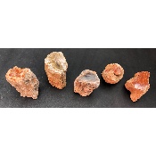 BOIS FOSSILE TRONC Lot de 490g