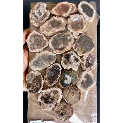 BOIS FOSSILE PLAQUE 02 Faces Polies Paquet de 500g