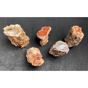 BOIS FOSSILE TRONC Lot de 490g