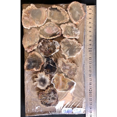 BOIS FOSSILE PLAQUE 02 Faces Polies Paquet de 500g