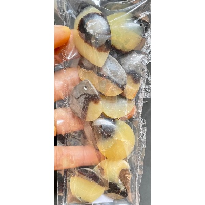 SEPTARIA PENDENTIF sachet de 10 Pièces